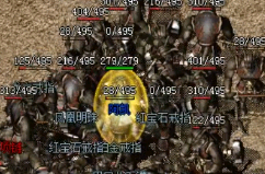 1.76���ž�Ʒ��ְҵ�����Щ��ͼ��������