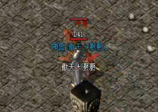 �����·�����ʿ�ɳ�·�߿���ѡ���ļ���