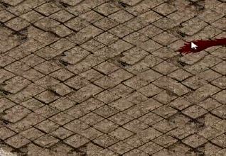 ������ʿ����Ѫ���ʺ���ʲô�����