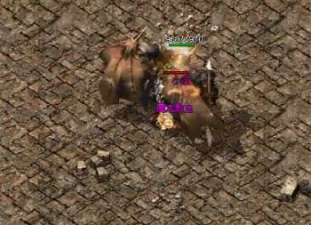 �¿�����������α��������������