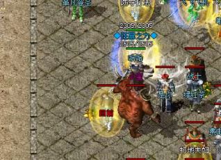 �����¿���վ��Ь����θ��»���