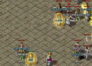 ��ְҵ����sf��վ������ָ������ô��