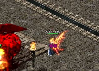 ��ְҵ����˽����վ��ħΪʲô�Ǽ�Ʒ����