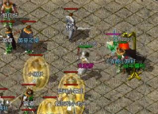 ������ְҵ���������ʯ��������ʲô