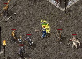 ���������ڴ����¿���վ����������