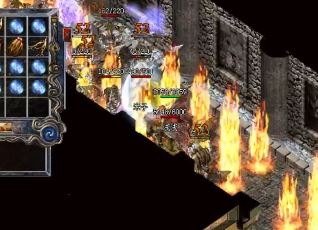 �¿�����sf���������������