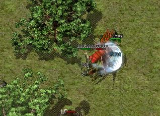 �ߵȼ�սʿ��Ը���õļ�������