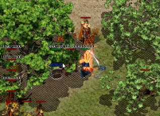 刷高级技能书应该去哪个地图 刷高级技能书应该去哪个地图