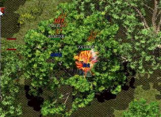 ���Ŵ���û��ʲô�õ�boss��ֵ�ö���