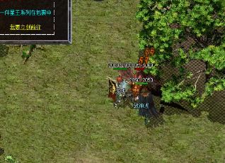 ���淨ʦ��ô��ϲ����Ѫ�����ù���