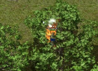 �������Ҫע���ǿ��Щ��������