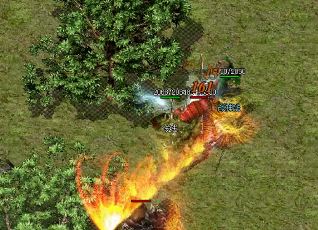 ������Щ����¾��Բ�������