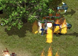 �������ÿ��Ҫ����Щ��