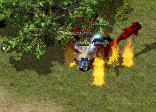 Ϊʲôʬ�����Ǵ�����ҵ���������