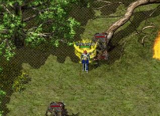 �Ҵ���˽�����ĸ���ϵĺϻ�������ǿ