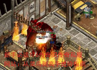 新手必读176传奇旧传奇私服网站:从菜鸟到高手进阶指南 新手必读176传奇旧传奇私服网站:从菜鸟到高手进阶指南