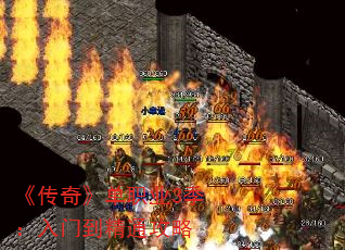 �����桷��ְҵ3�������ŵ���ͨ����