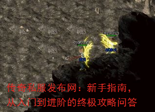 ����˽��������������ָ�ϣ������ŵ����׵��ռ������ʴ�