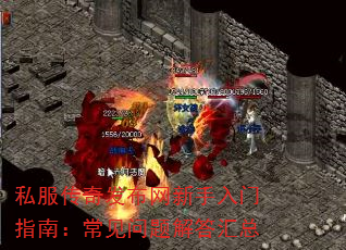 ˽�����淢������������ָ�ϣ��������������