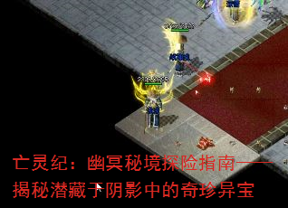 亡灵纪:幽冥秘境探险指南——揭秘潜藏于阴影中的奇珍异宝 亡灵纪:幽冥秘境探险指南——揭秘潜藏于阴影中的奇珍异宝