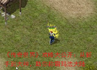 ���������硷���Դ󹫿��������ֵ���������ư��귨��½