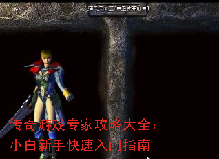 传奇游戏专家攻略大全:小白新手快速入门指南 传奇游戏专家攻略大全:小白新手快速入门指南