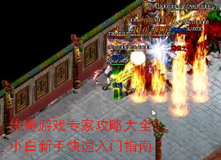 传奇游戏专家攻略大全:小白新手快速入门指南 传奇游戏专家攻略大全:小白新手快速入门指南