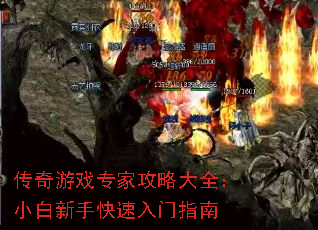 传奇游戏专家攻略大全:小白新手快速入门指南 传奇游戏专家攻略大全:小白新手快速入门指南