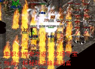 ��ְҵ����֮�ң�ɳ��Ѱ��ָ�ϣ�̽���귨���زƸ�