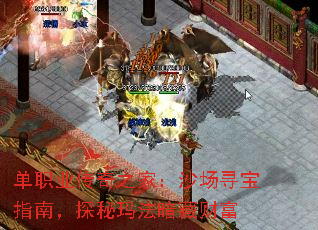 ��ְҵ����֮�ң�ɳ��Ѱ��ָ�ϣ�̽���귨���زƸ�