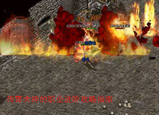 ��������ְҵ���׹���ָ��