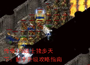 ����176սʿ�������£�������������ָ��