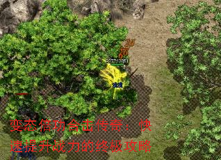 ��̬�����ϻ����棺��������ս�����ռ�����