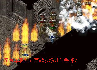 ����ְҵ����սɳ��˭�����棿