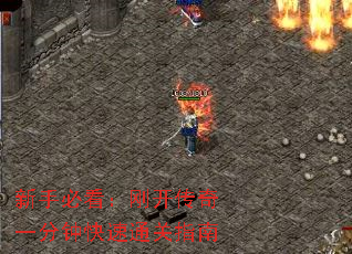 ���ֱؿ����տ�����һ���ӿ���ͨ��ָ��