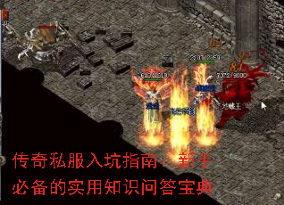 ����˽�����ָ�ϣ����ֱر���ʵ��֪ʶ�ʴ𱦵�