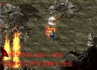 999�����·������߱ؿ�ȼ��ɳ�Ϳ˹��Դ����