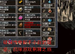 �ƽ⴫������С�׵��ɻ�ɨ����Ϸ����֮��