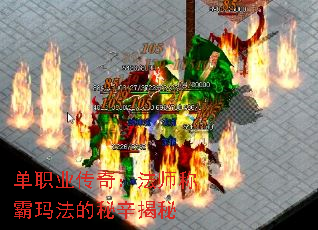 ��ְҵ���棺��ʦ�ư��귨����������