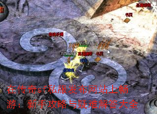 �ڴ���sf˽��������վ�ϳ��Σ����ֹ��������ѽ���ȫ