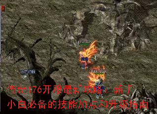 ����176�������¹��ԣ�����С�ױر��ļ��ܼӵ������ָ��