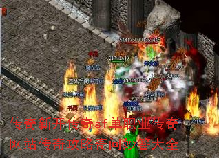 �����¿�����sf��ְҵ������վ���湥����������ȫ