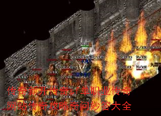 �����¿�����sf��ְҵ������վ���湥����������ȫ