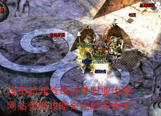 �����¿�����sf��ְҵ������վ���湥����������ȫ