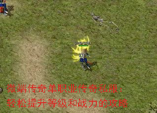 ΢�˴��浥ְҵ����˽�������������ȼ���ս���Ĺ���