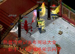 ��Ѫ����sf������վ��ȫ����������ȫ����֪ʶ�ʴ�