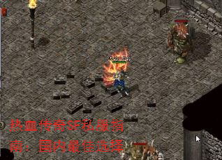 ��Ѫ����SF˽��ָ�ϣ��������ѡ��