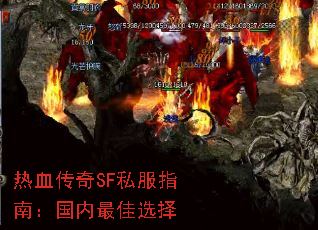 ��Ѫ����SF˽��ָ�ϣ��������ѡ��