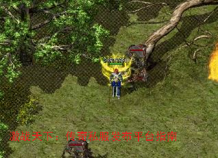 ��ս���£�����˽������ƽָ̨��