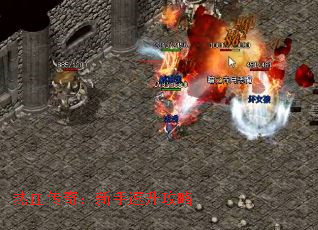 ��Ѫ���棺������������